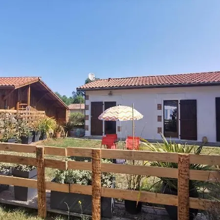 Gîte entre lacs, océan et forêts Pissos Extérieur photo