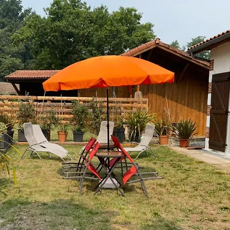 Gîte entre lacs, océan et forêts Pissos Extérieur photo