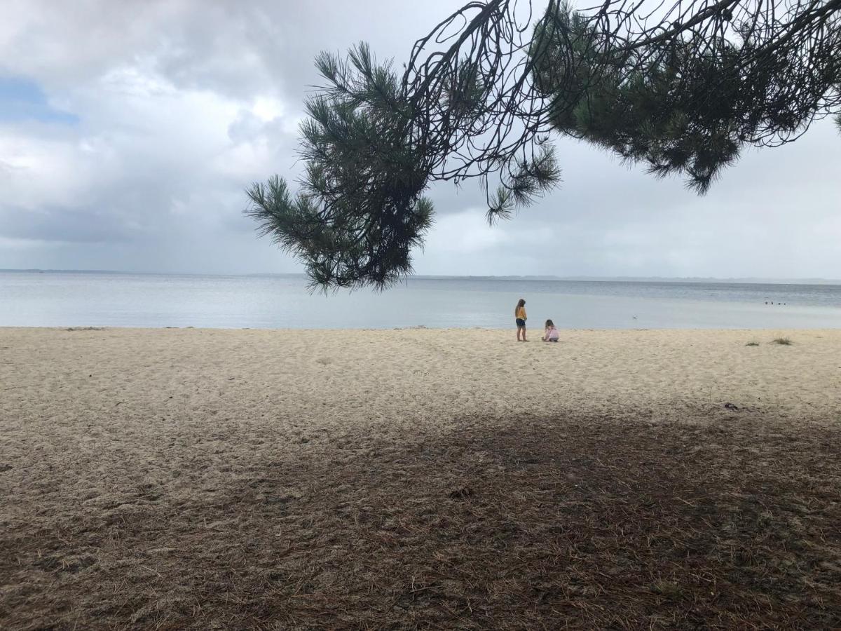 Ferienhaus Entre Lacs, Ocean Et Forets Pissos