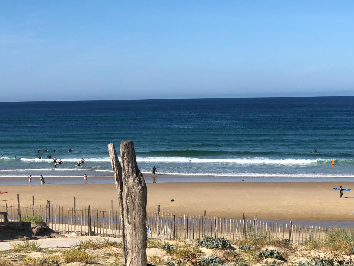 Entre Lacs, Ocean Et Forets Pissos