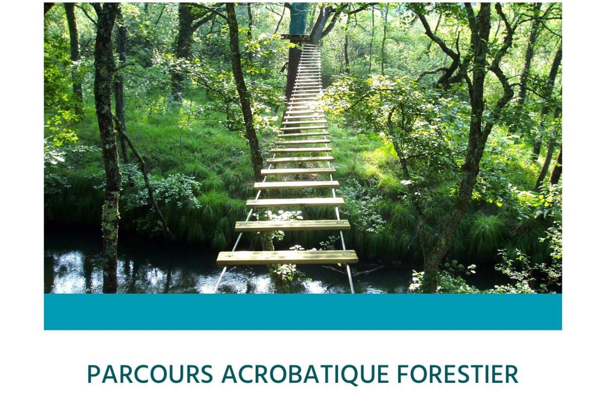 Entre Lacs, Ocean Et Forets Pissos