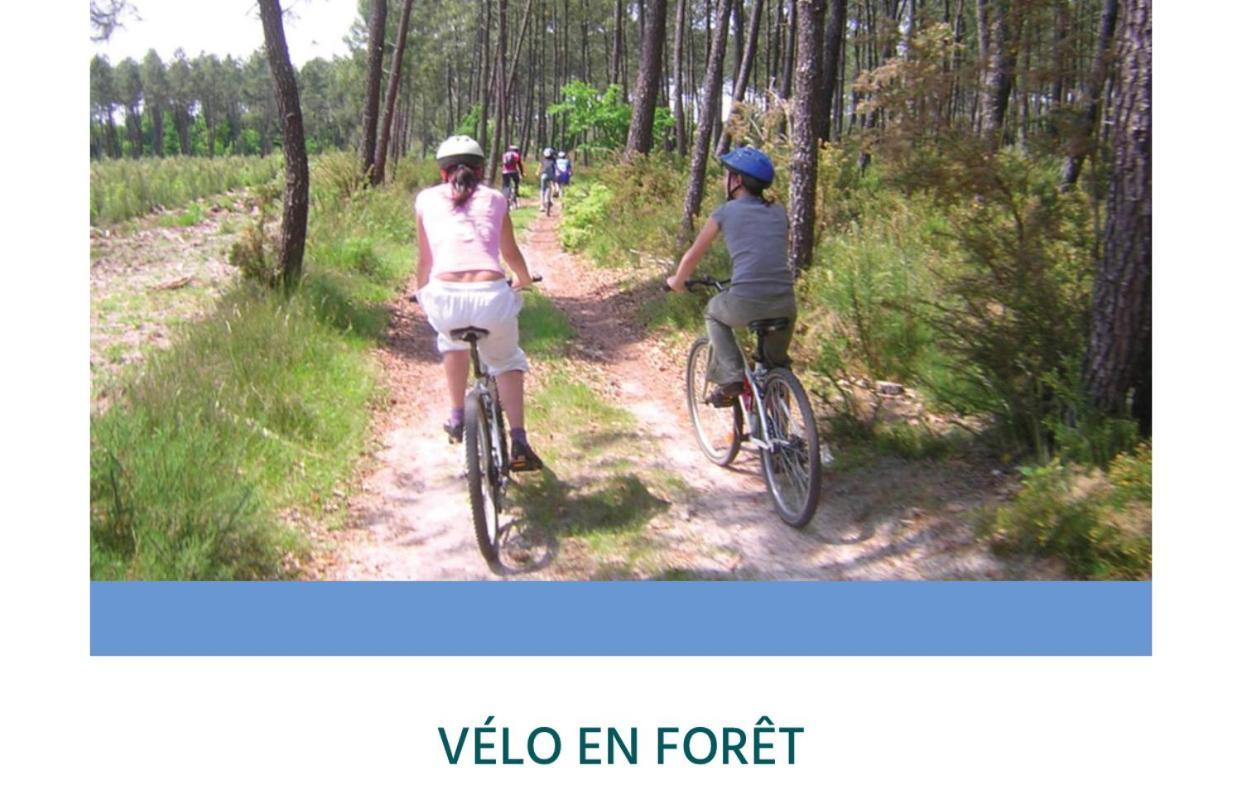 Entre Lacs, Ocean Et Forets * Pissos