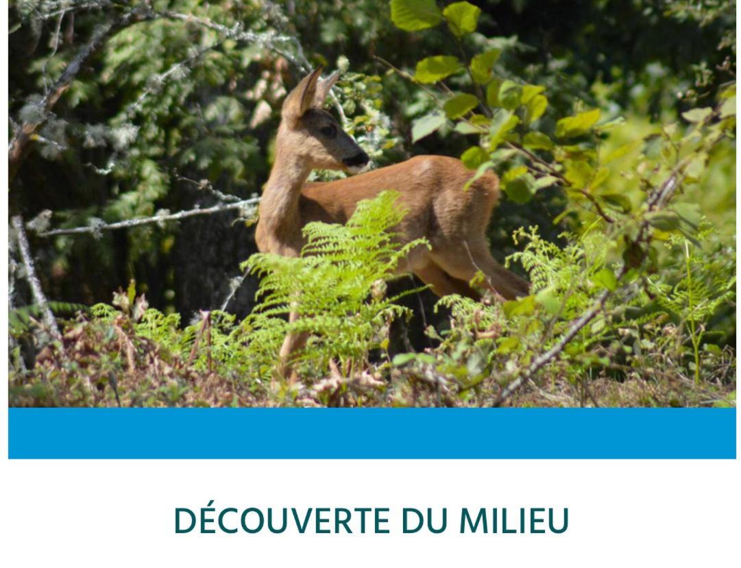 Entre Lacs, Ocean Et Forets Ferienhaus *