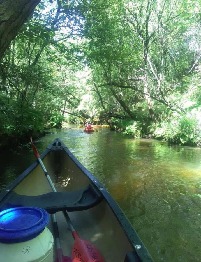 Entre Lacs, Ocean Et Forets Pissos